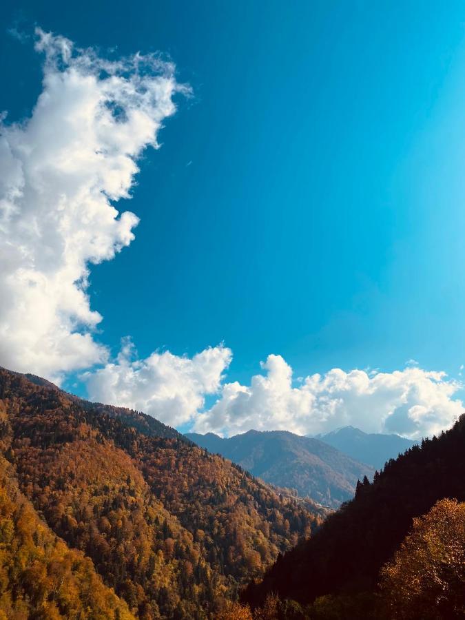 Seyr-I Cennet Dag Evleri Camlihemsin Luaran gambar