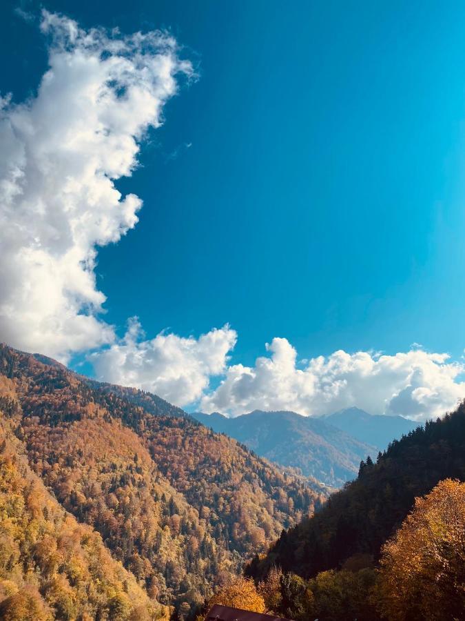 Seyr-I Cennet Dag Evleri Camlihemsin Luaran gambar